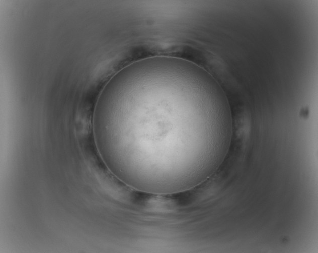 X0000114660515200910201533