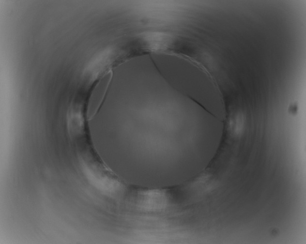 X0000114660516200910201533