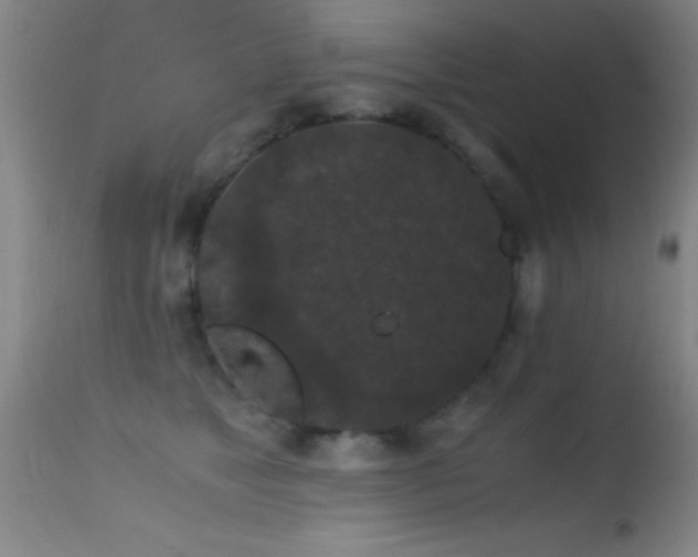 X0000114660517200910201533