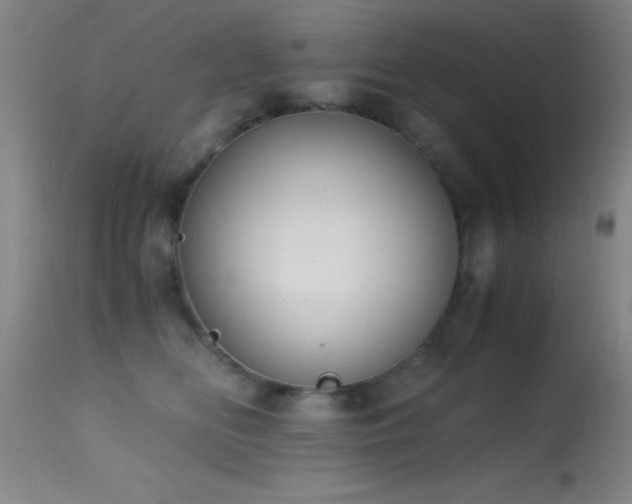 X0000114660518200910201533