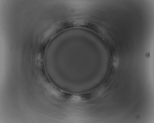 X0000114660519200910201533