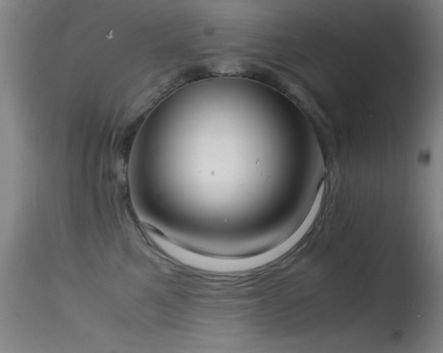 X0000114660521200910201533