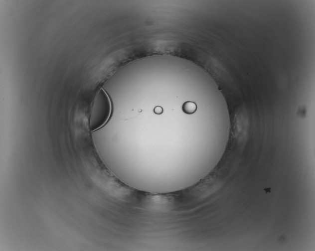 X0000114660522200910201533