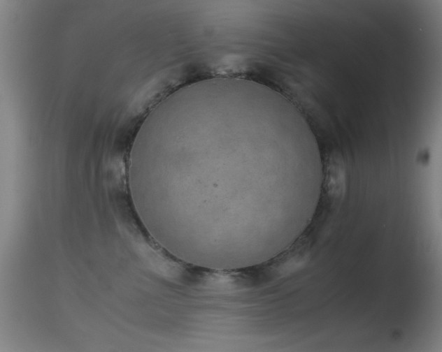 X0000114660523200910201533