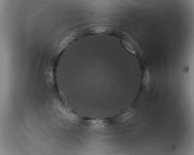 X0000114660524200910201533