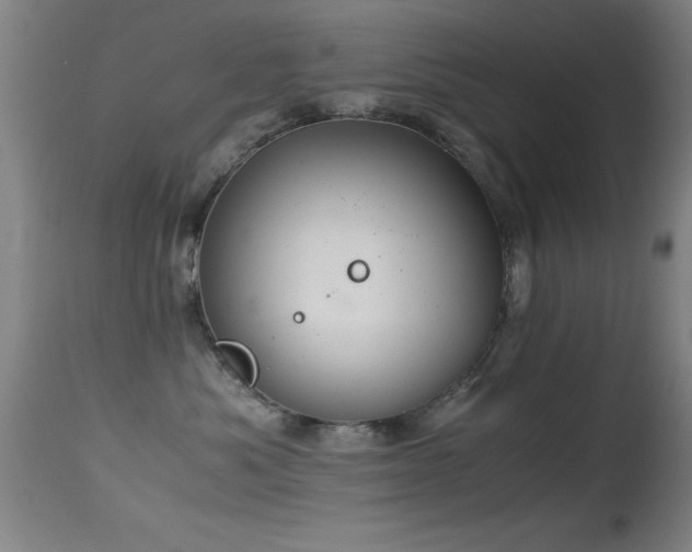 X0000114660525200910201533