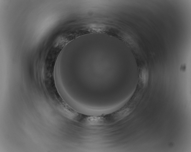 X0000114660526200910201533