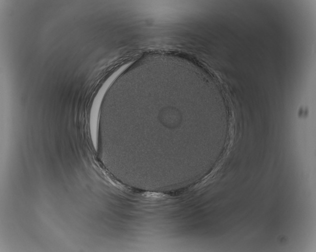 X0000114660528200910201533