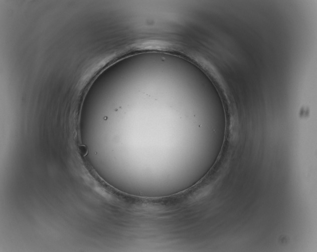 X0000114660529200910201533