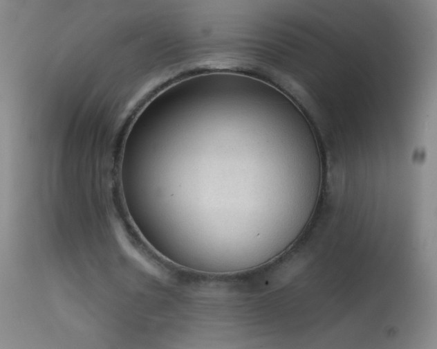 X0000114660530200910201533