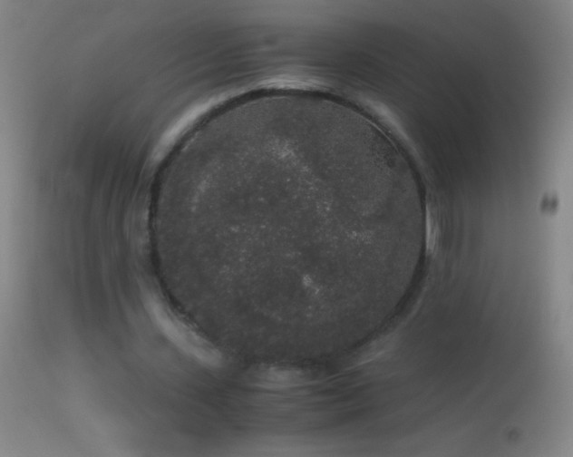 X0000114660531200910201533