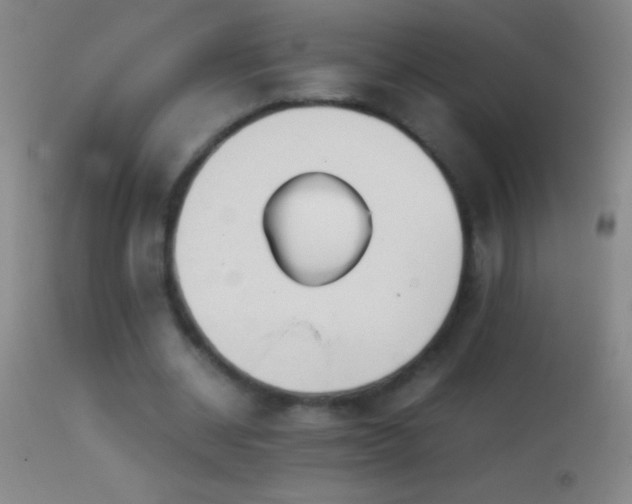 X0000114660534200910201533