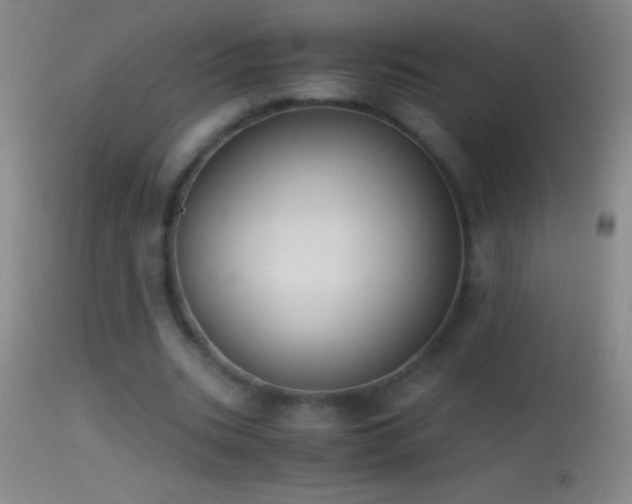 X0000114660535200910201533