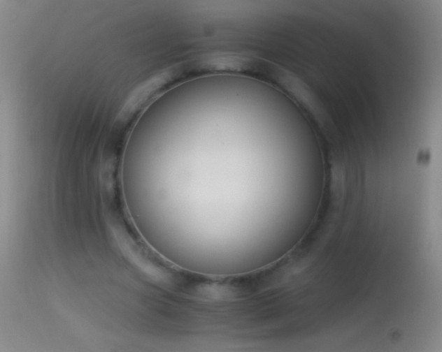 X0000114660537200910201533