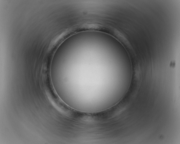 X0000114660538200910201533