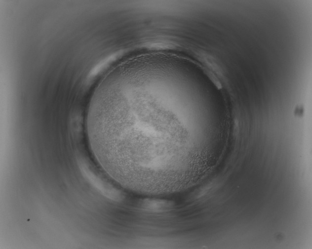 X0000114660539200910201533