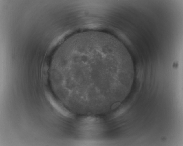 X0000114660542200910201533