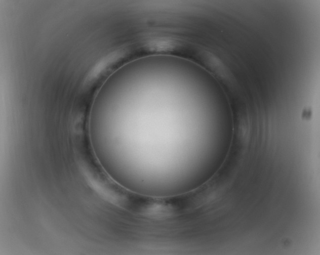 X0000114660543200910201533