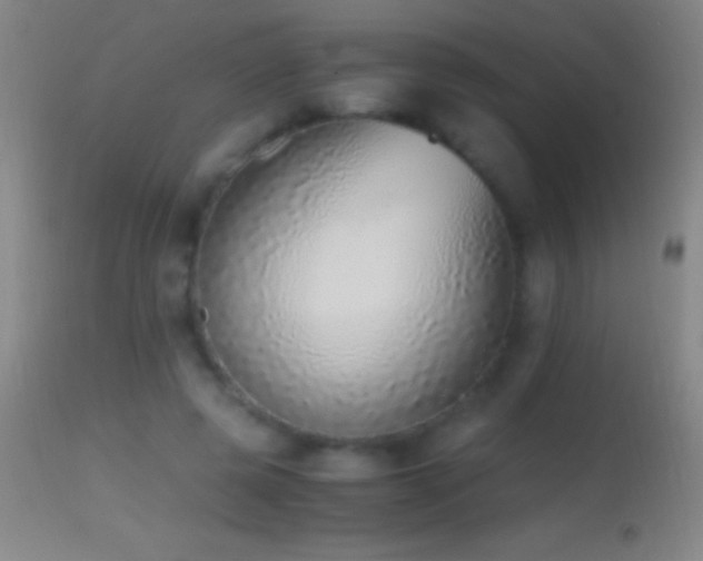 X0000114660545200910201533