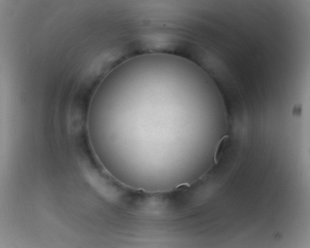 X0000114660546200910201533