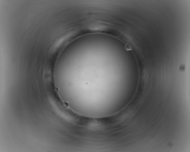 X0000114660547200910201533