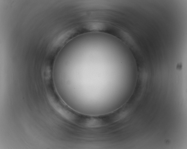 X0000114660549200910201533