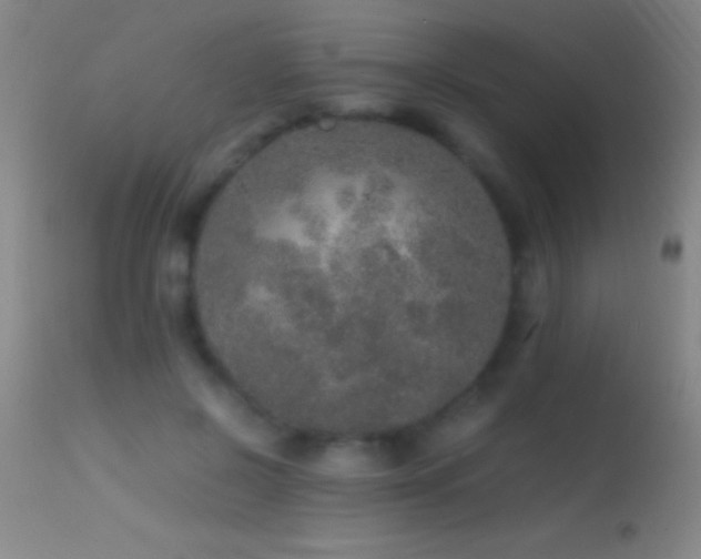 X0000114660550200910201533