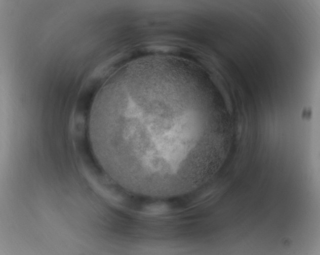 X0000114660551200910201533