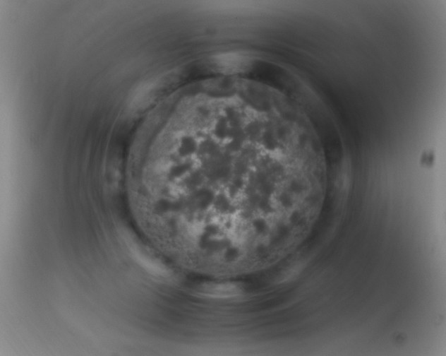 X0000114660553200910201533