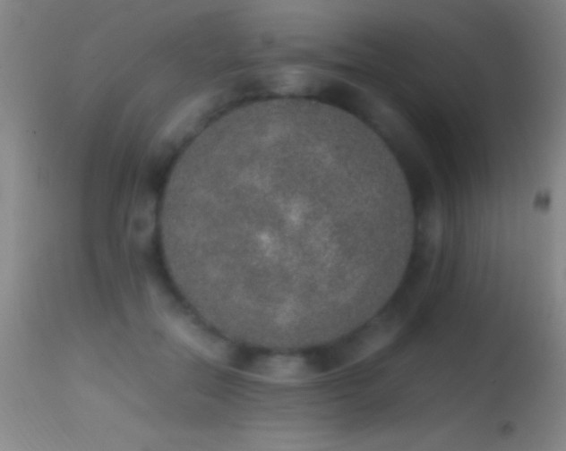 X0000114660554200910201533