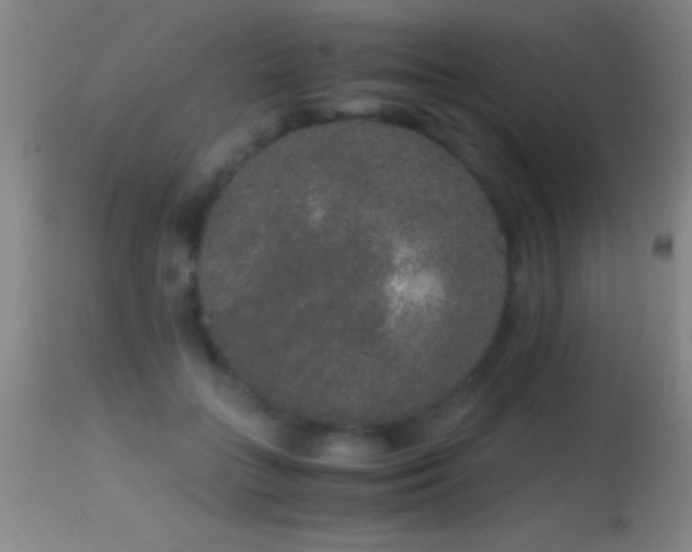 X0000114660555200910201533