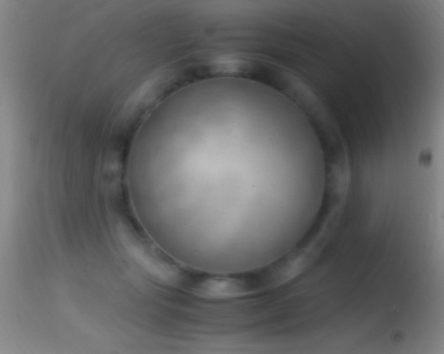 X0000114660557200910201533