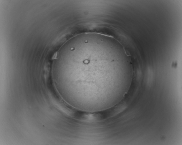 X0000114660558200910201533