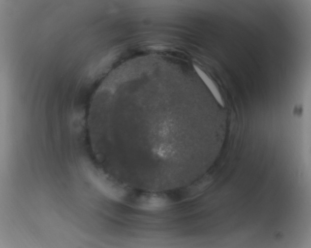 X0000114660559200910201533