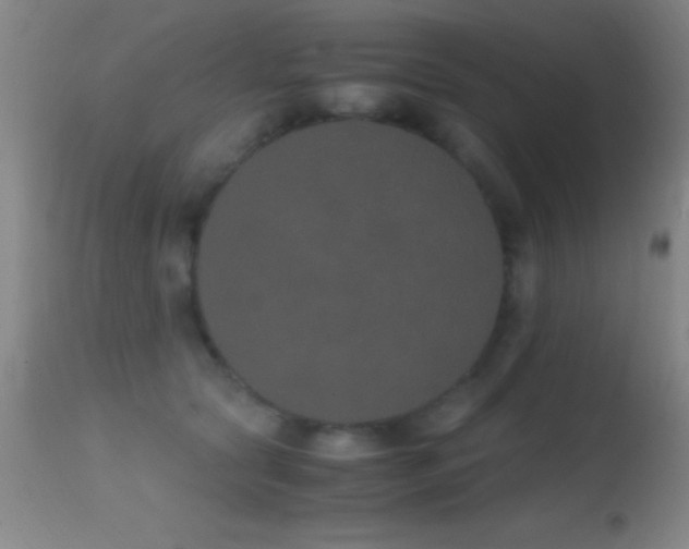 X0000114660561200910201533