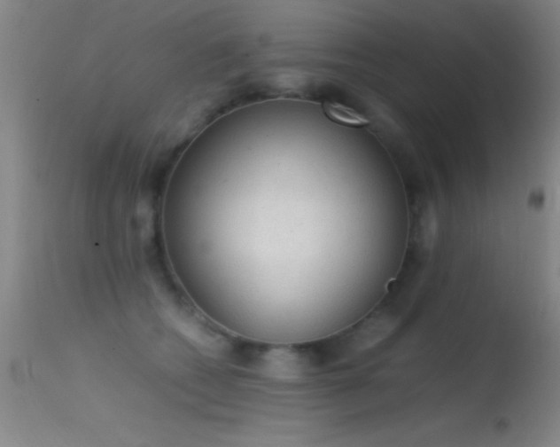 X0000114660562200910201533