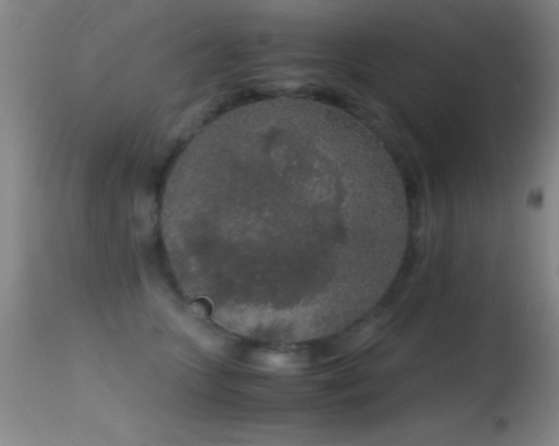 X0000114660563200910201533