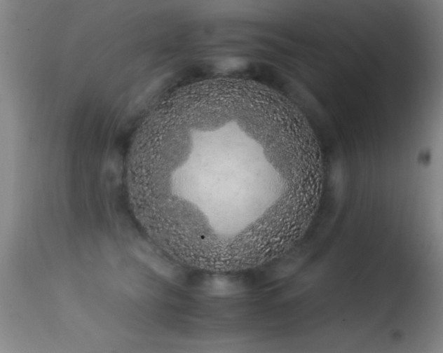 X0000114660565200910201533