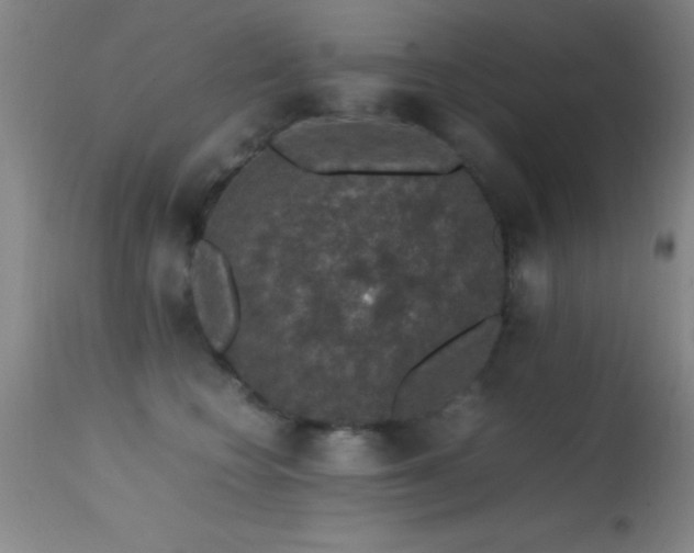 X0000114660566200910201533