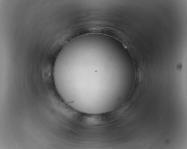 X0000114660567200910201533