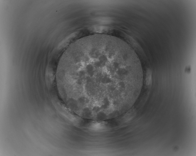 X0000114660569200910201533