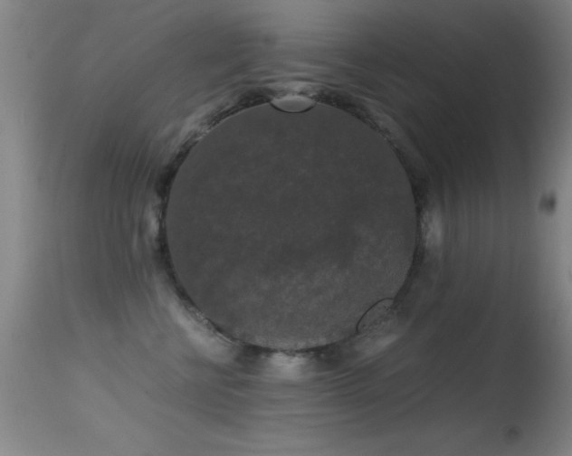 X0000114660570200910201533