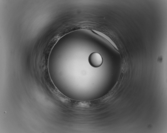 X0000114660573200910201533