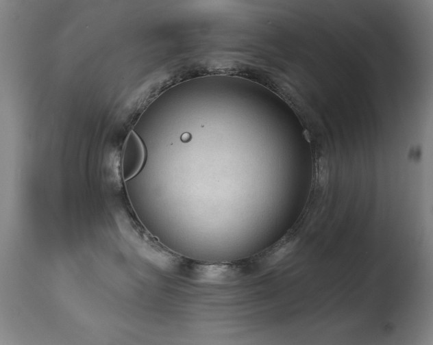 X0000114660575200910201533