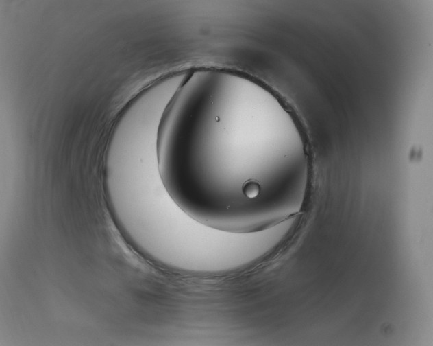 X0000114660577200910201533