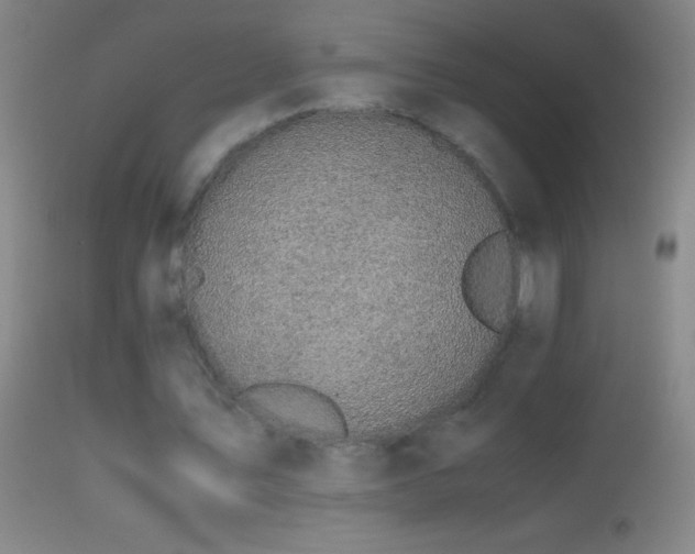 X0000114660579200910201532