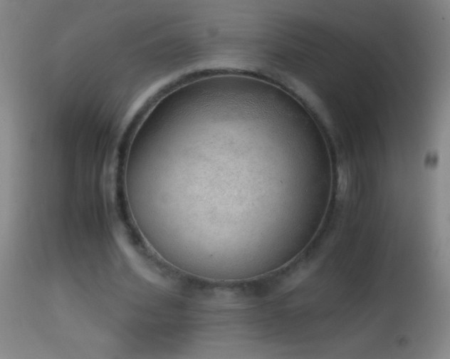 X0000114660580200910201532