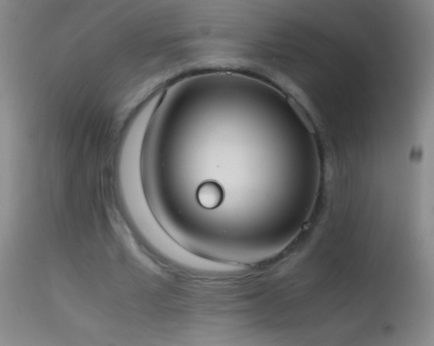 X0000114660581200910201532