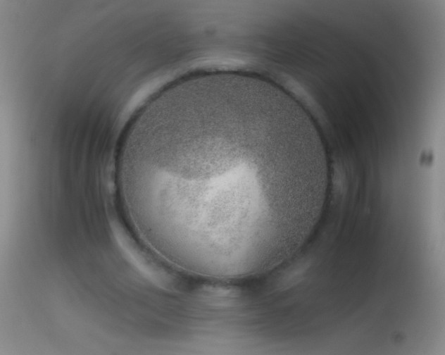 X0000114660582200910201532