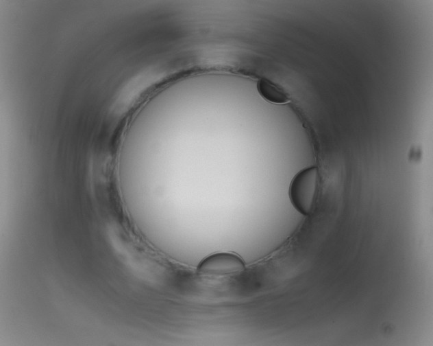 X0000114660583200910201532